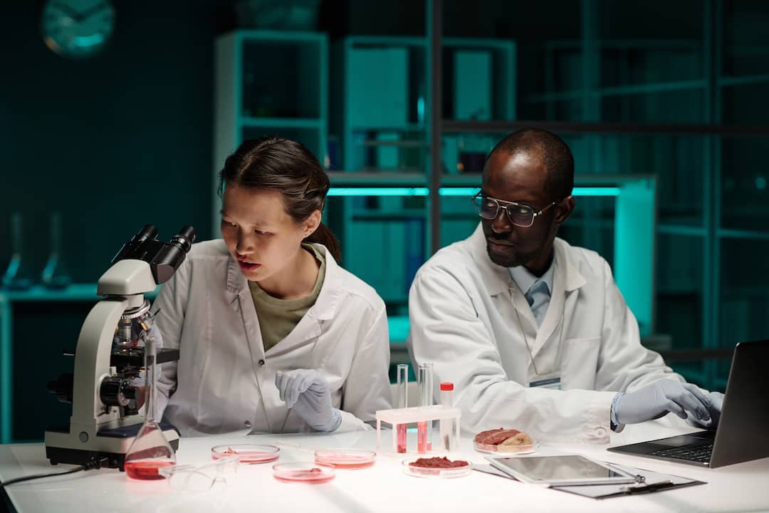 two-scientists-conducting-work-on-alternative-lab-2023-12-29-02-31-54-utc two-scientists-conducting-work-on-alternative-lab-2023-12-29-02-31-54-utc